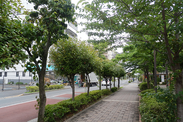 東部フレンド公園の近くの歩道