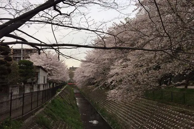 弁天の森