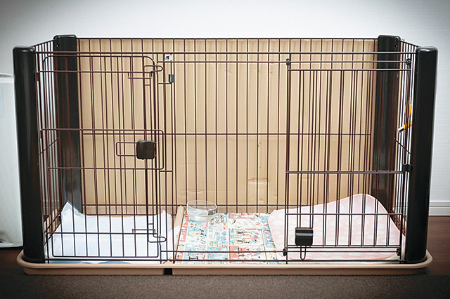 あずきのケージ。トイレと部屋を仕切りで分けられるようになっているところがきれい好きな柴犬にピッタリで、購入