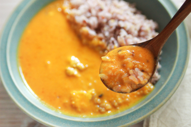 カルディのレモンチキンカレーをスプーンですくった様子