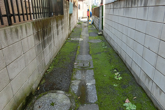コケが生えた暗渠