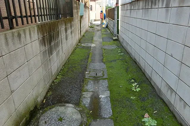 コケが生えた暗渠