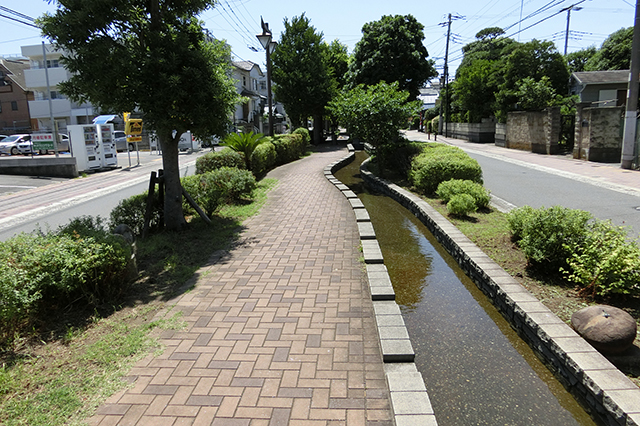 緑道