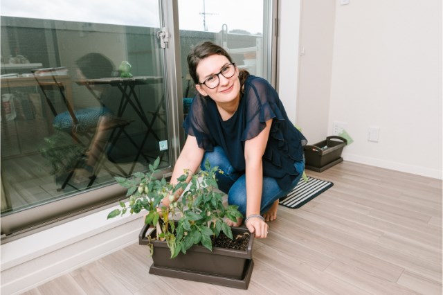 トマトの鉢植えとローラさん