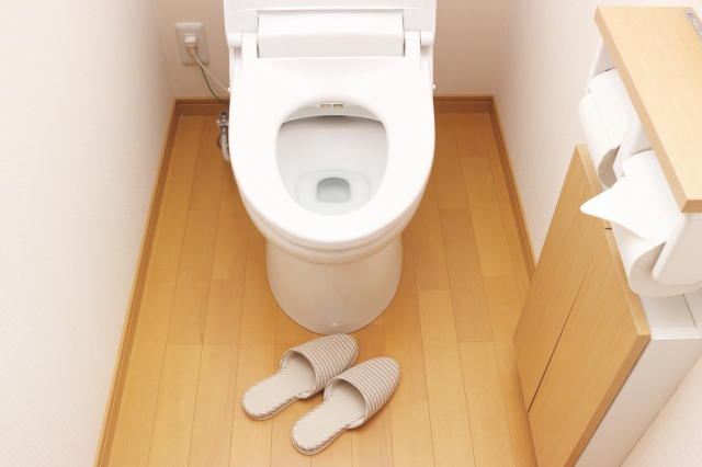便座カバーやシートのメリットとデメリットを比較 トイレを清潔に保つ秘訣とは Chintai情報局