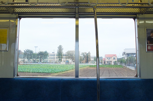 電車から見る外の風景
