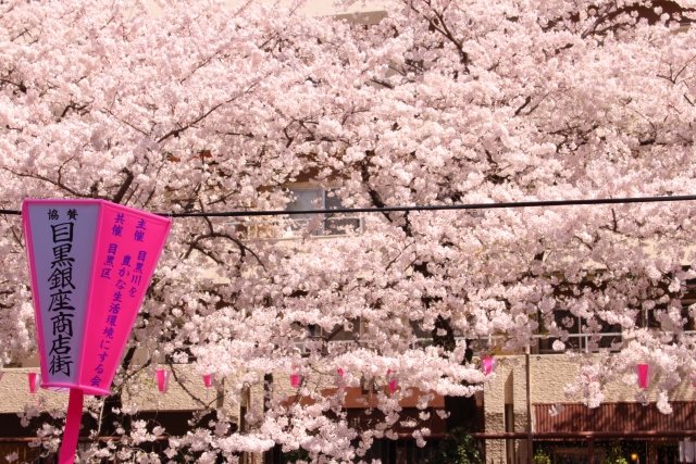 春には見事な花を咲かせる目黒川の桜並木も徒歩圏内