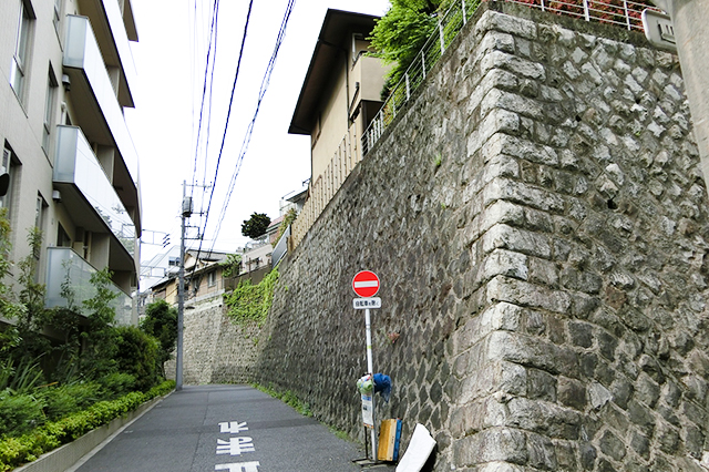 高い石積みの擁壁観察
