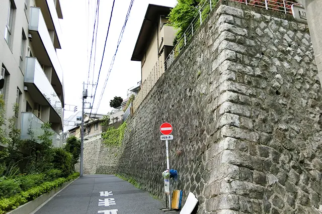 高い石積みの擁壁観察