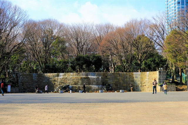 広大な敷地を誇る新宿中央公園