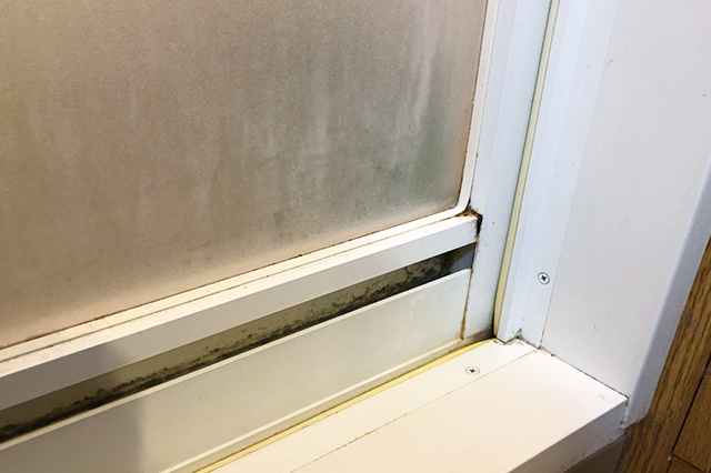 カビとりスティック使用前