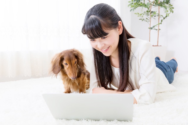 物件検索サイトの情報だけで多頭飼いOKかを判断するのは難しい