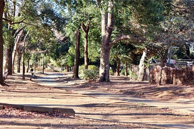 都立駒沢オリンピック公園