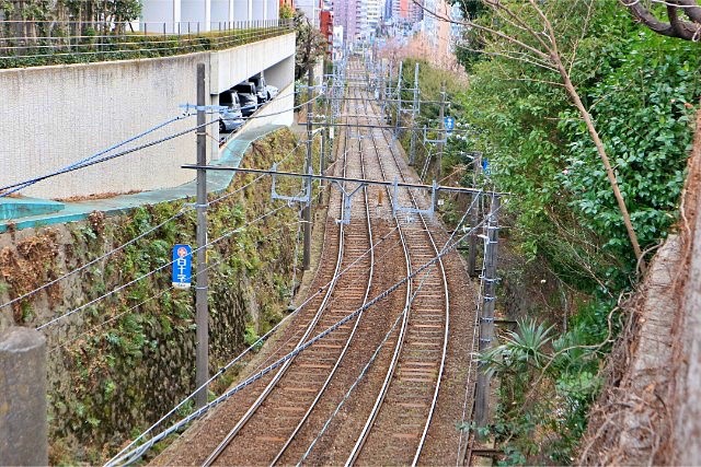 雑司が谷駅周辺