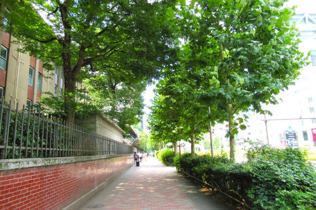 青山通り