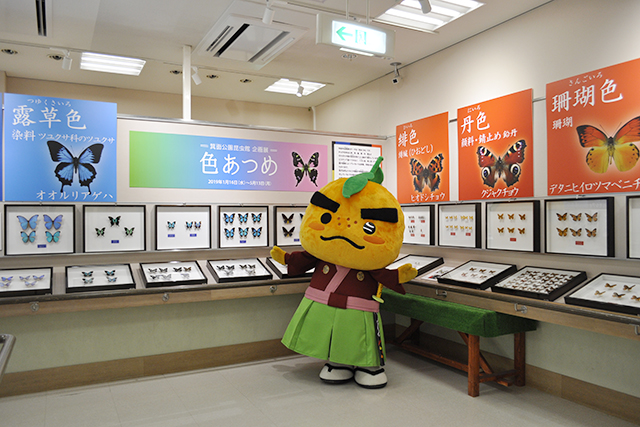 箕面公園昆虫館の特別展