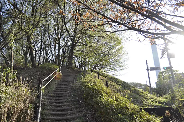 煙突へと続く道