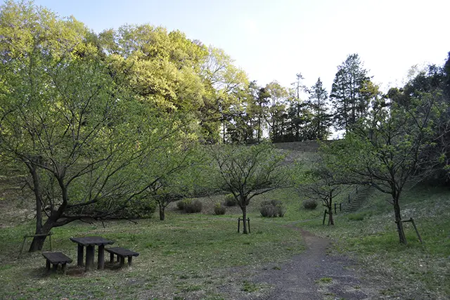 唐木田のゴルフ場