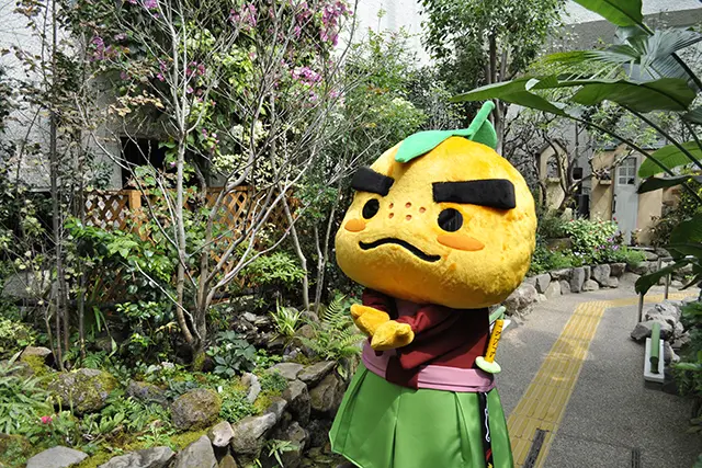 箕面公園昆虫館の蝶とゆずる