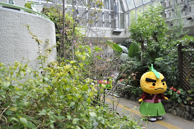 悲しい顔をする滝ノ道ゆずる