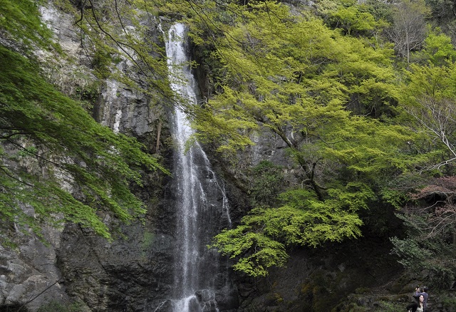 箕面大滝