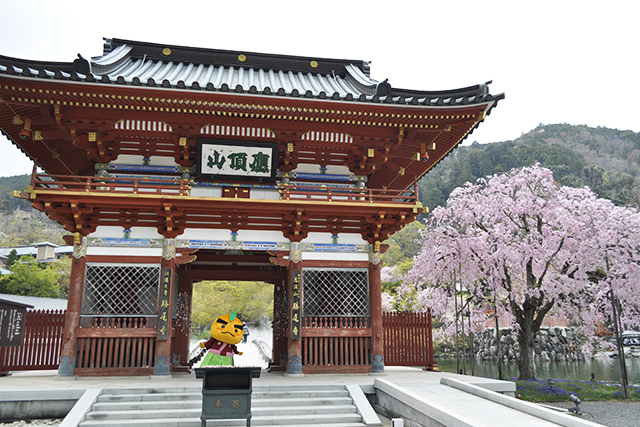 勝尾寺と滝ノ道ゆずる