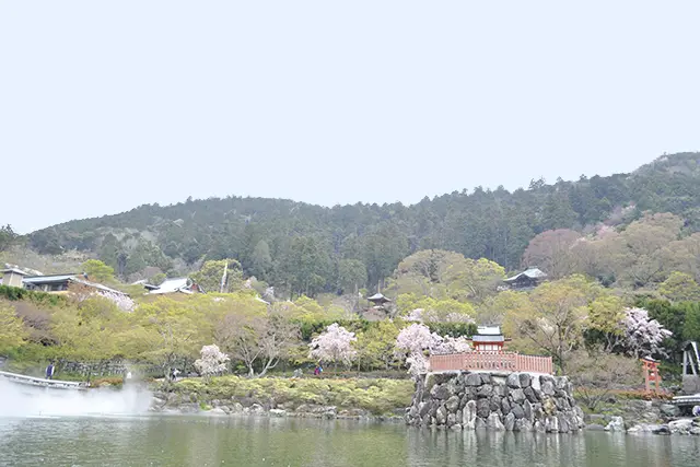 勝尾寺の景色