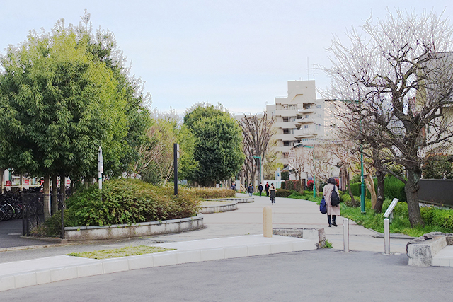 府中本町の歩道