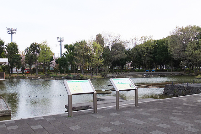 郷土の森の水辺