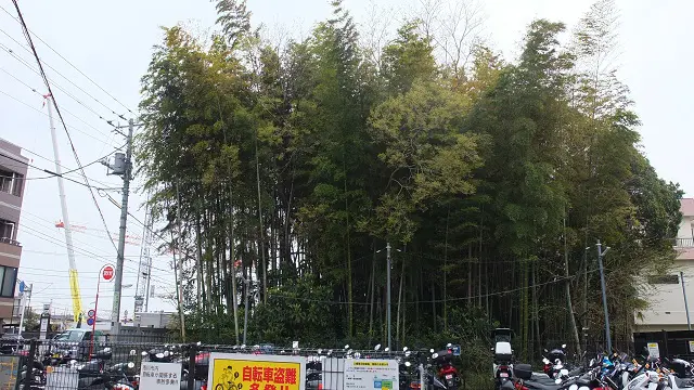 八幡の藪知らずの外観