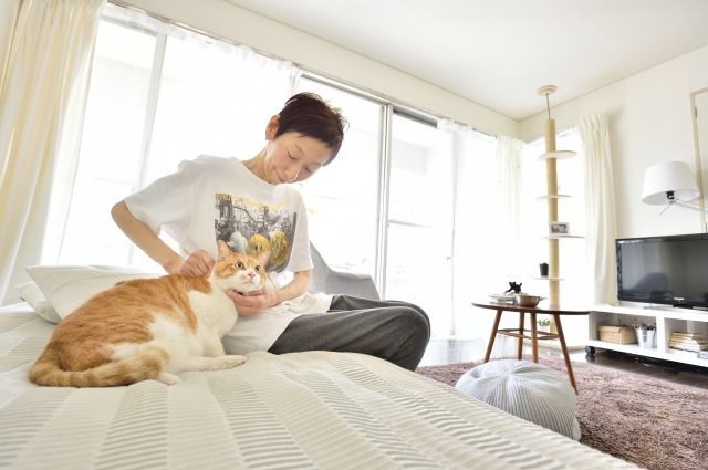 昨年杉並区のペット可賃貸物件に引越した一人暮らしのYさんと愛猫の様子