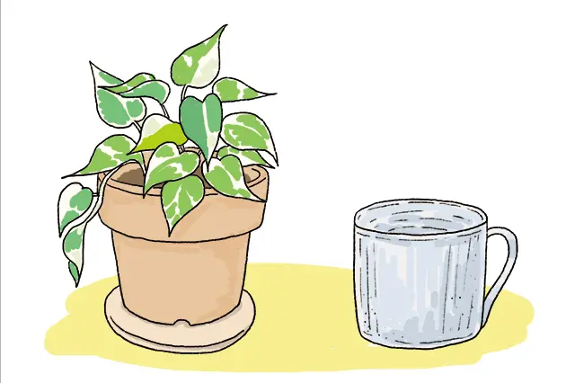 土の気のアイテム