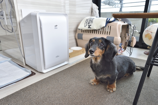 【犬との暮らし】脱臭機