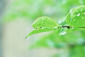 梅雨の時期でも気持ちよく過ごしたい