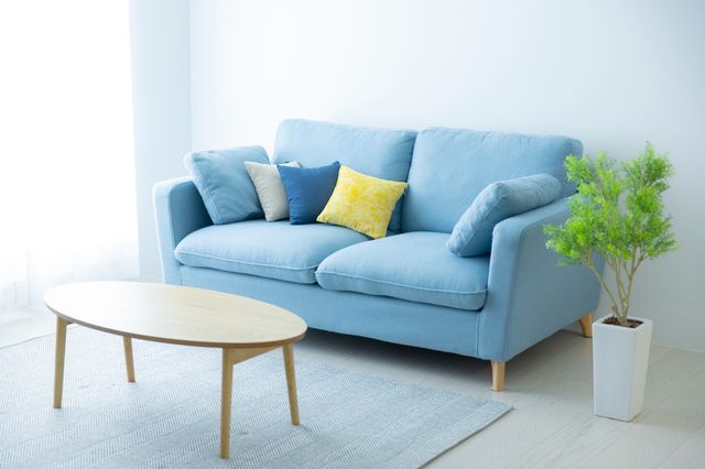 青いソファーと机と観葉植物
