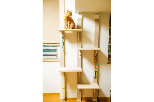 DIYで作ったキャットタワー