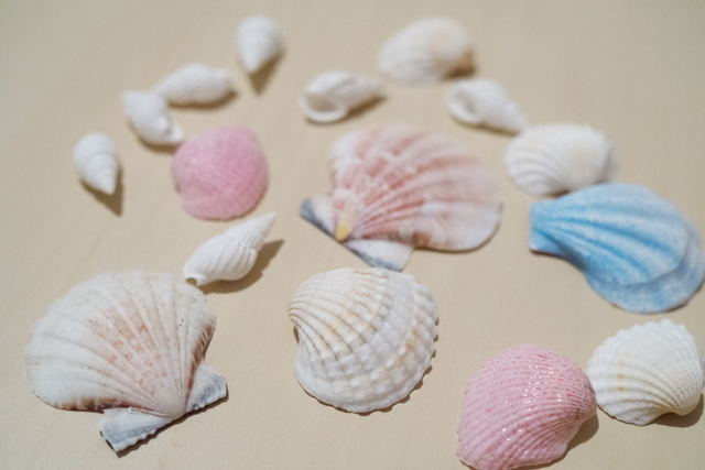 夏の工作やハンドメイドに 簡単 おしゃれ 貝殻を使ったインテリアアイデア3選 Chintai情報局