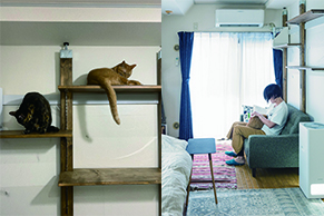 【猫との暮らし】2匹の保護猫と一人暮らしの部屋づくり。キャットタワーもDIY！