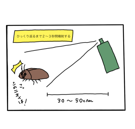 ゴキブリを即ノックアウト 害虫駆除のプロに聞く スプレーを使った対処法 Chintai情報局