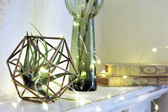 ICOSA PLANTS FRAME S 1,620円（税込）／インテリア雑貨セレクトショップ favoritos