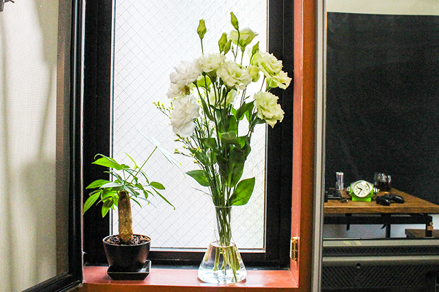 もりすけさんの自宅のお花