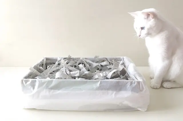 完成したダンボール猫用トイレ