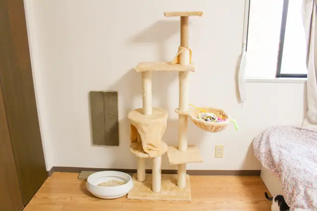 一人暮らしの限られたスペースだからこそ、猫が運動しやすい猫タワーは必須。Nさんは、通販で4,000円程度で購入