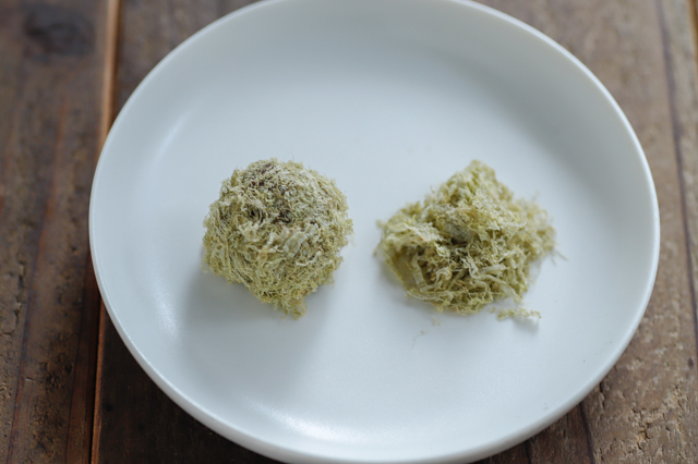 みそまる_簡単かわいい「味噌玉」の作り方_とろろ昆布でアレンジした味噌玉