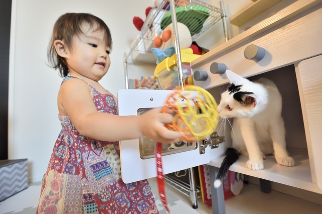 2LDKのペット可賃貸物件に住むSさんAさん家族の愛猫・百（もも）が子供と一緒に遊ぶ様子