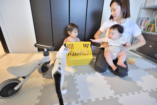 ペット可賃貸物件に住むSさんAさん家族が猫と遊んでいる様子
