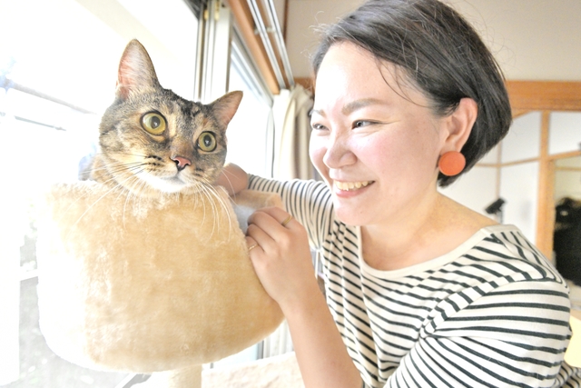 猫との暮らし 一人暮らしのパートナーは2匹の猫 部屋探しのコツと多頭飼いの工夫は Chintai情報局