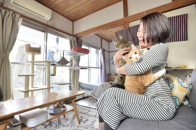 猫 を 飼っ て いる 一人暮らし の 男性