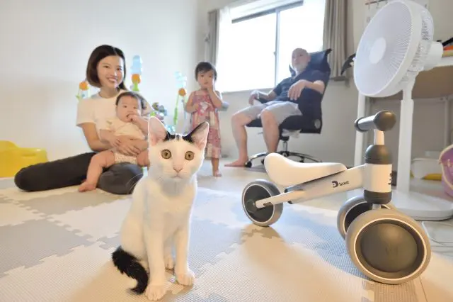 猫を飼っているSさんとAさん家族