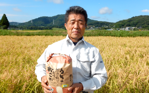 【2019年ふるさと納税】ふるさとチョイスさんに聞いたオススメ返礼品45選! 長狭米コシヒカリ玄米8㎏(精米に変更可)